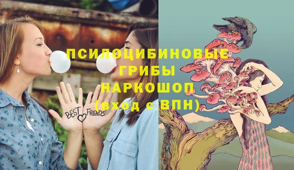 ECSTASY Аркадак