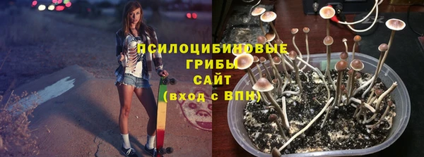 гидропоника Армянск