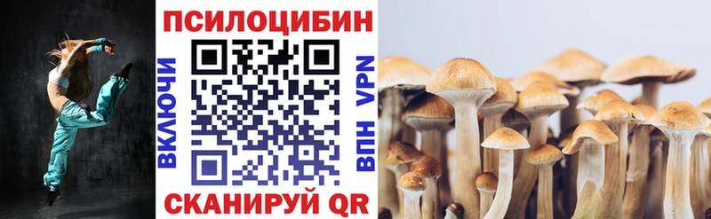 Галлюциногенные грибы ЛСД купить закладку Белинский
